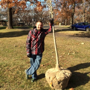 Andrew and his tree_Highland Park 11.15.14